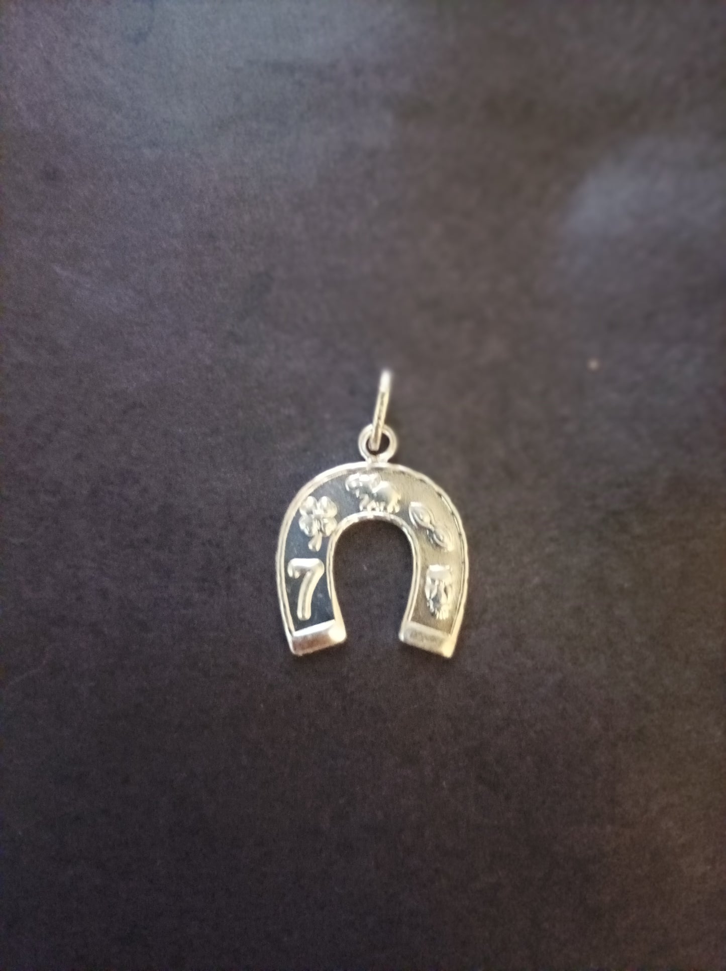 Collar con dije de la suerte en Plata 925