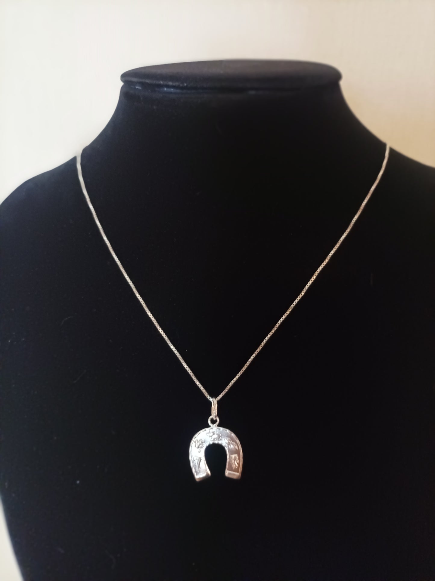 Collar con dije de la suerte en Plata 925