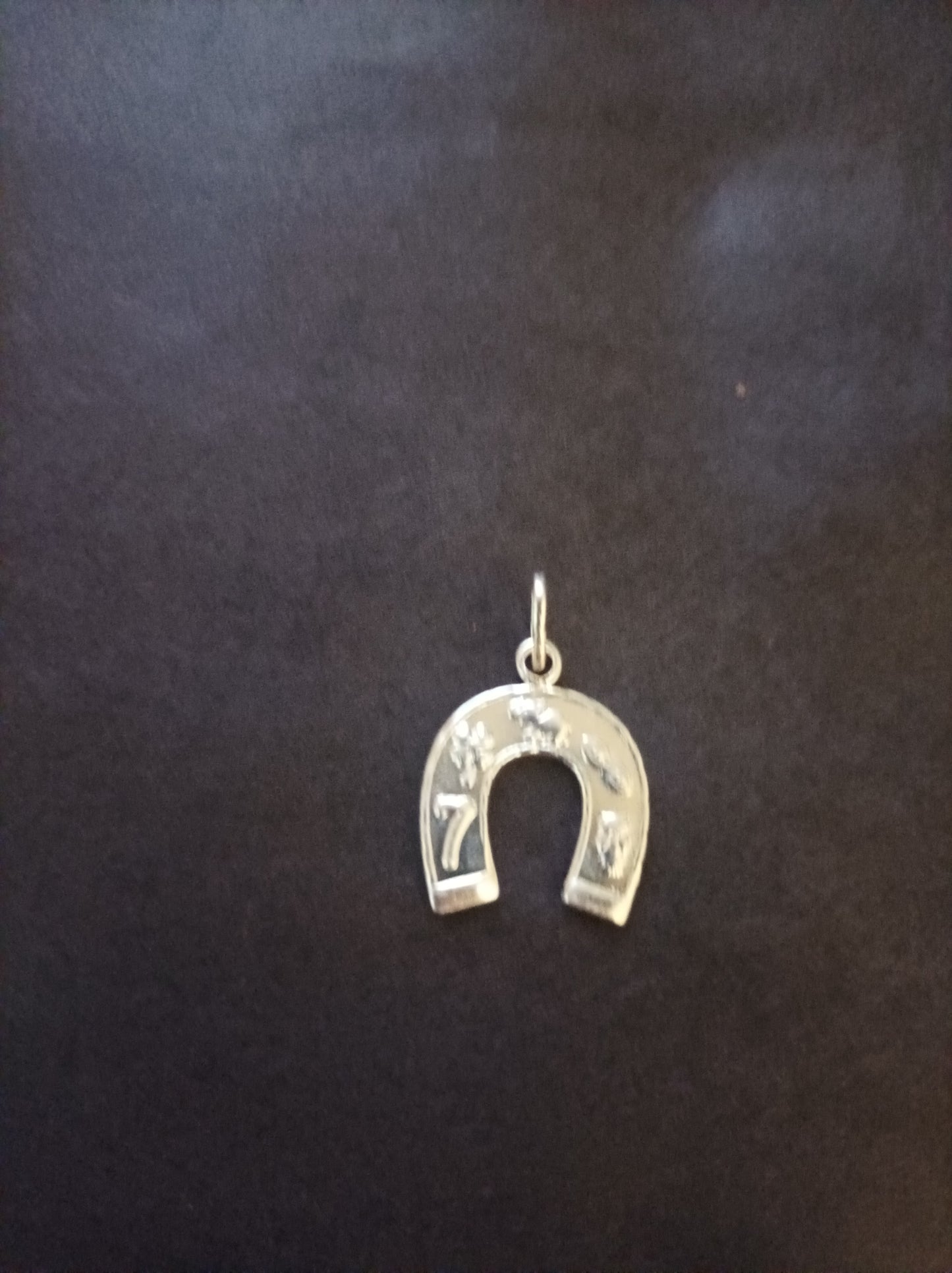 Collar con dije de la suerte en Plata 925