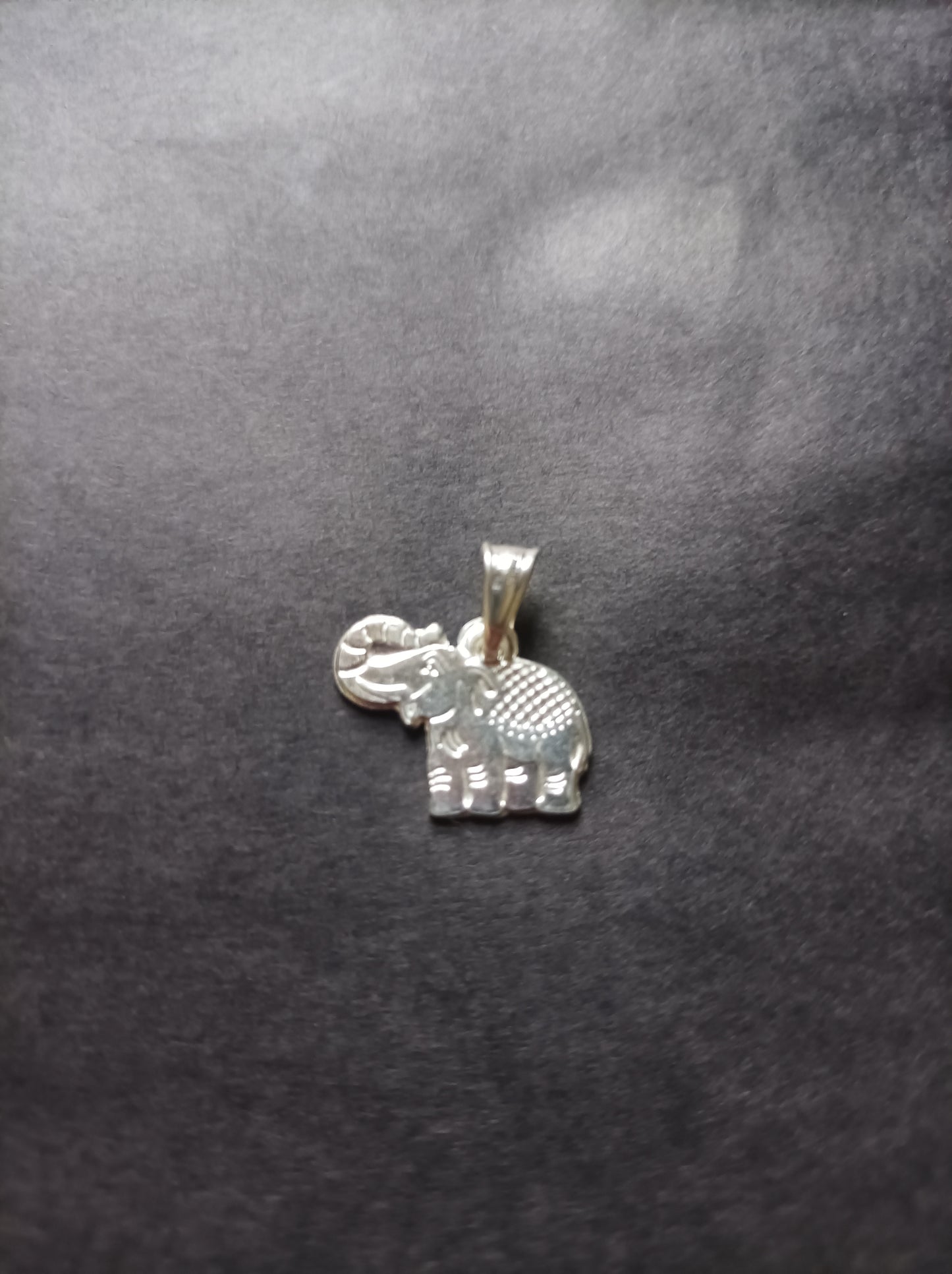 Collar con dije de Elefante en Plata 925