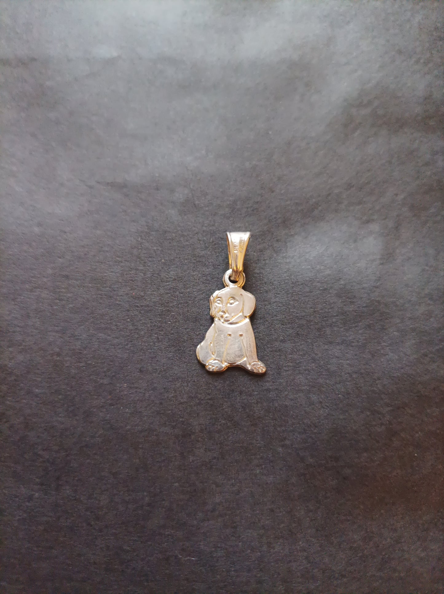 Collar con dije de cachorro en Plata 925